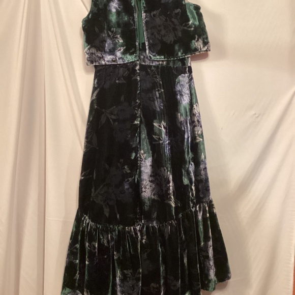 Eva Franco Anthropologie forest green velvet Floral maxi dress Special  Occasion